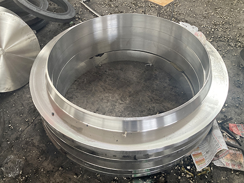 Forged flange (14)